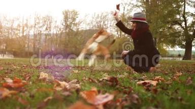 慢速镜头：主人训练她的狗，用一棵离开的树戏弄它